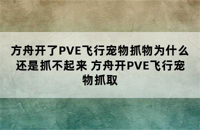 方舟开了PVE飞行宠物抓物为什么还是抓不起来 方舟开PVE飞行宠物抓取